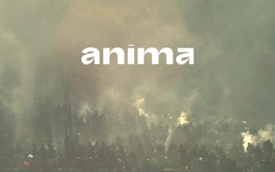 TVD görüşü: Anima Belgeseli neden desteklenmeli?